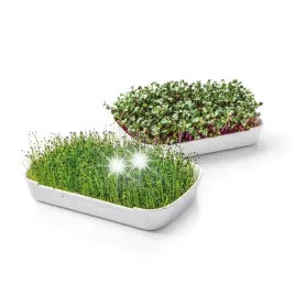 tescoma-zestaw-do-uprawy-domowych-ziol-siewki-kielkownica-microgreens-sense