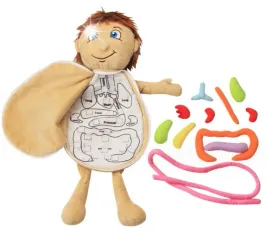 zabawka-pluszowa-narzady-anatomia-zabawki-dla-dzieci-miekka-lalka