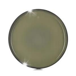 revol-caractere-talerz-15-cm-kardamon-francja