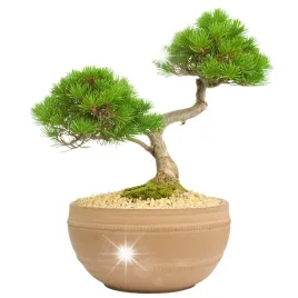 doniczka-oslonka-plaska-30cm-duza-glina-terakota-kolor-naturalny-boho