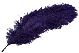 pioro-strusie-do-wazonu-kolor-purpurowy-60cm