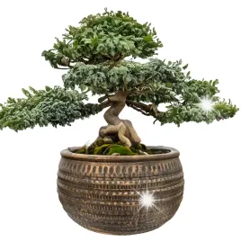 doniczka-na-bonsai-loft-duza-27cm-oslonka-miska-okragla-betonowa-miedziana