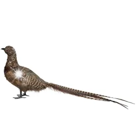 figurka-bazant-replika-ptak-70cm-dekoracyjna-realistyczna-prawdziwe-piora