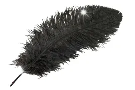 pioro-strusie-do-wazonow-stroikow-ciemny-braz-60cm