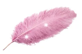 pioro-strusie-do-wazonow-stroikow-ciemny-roz-60cm
