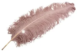 pioro-strusie-do-wazonu-pudrowy-roz-60cm