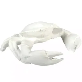 figurka-krab-ryby-dekoracyjna-marnistyka-biala-do-lazienki-salonu-domu-20cm
