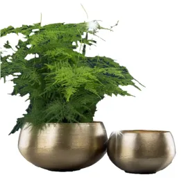 doniczka-loft-zlota-metalowa-duza-na-bonsai-2-szt-oslonka-do-domu-salonu