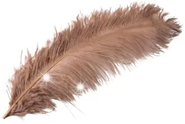 pioro-strusie-dekoracyjne-kolor-nugatowy-60cm