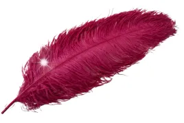pioro-strusie-do-wazonu-kolor-karminowy-60cm