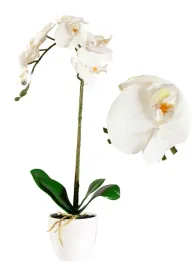 sztuczna-orchidea-storczyk-bialy-jak-zywy-silikonowy-realistyczna-dekoracja