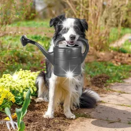 konewka-ogrodowa-plastikowa-do-podlewania-zraszania-roslin-kwiatkow-5l