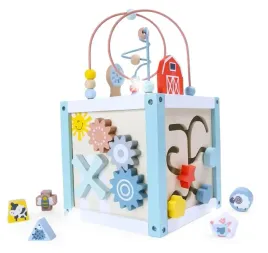 drewniana-kostka-edukacyjna-sorter-klocki-ecotoys