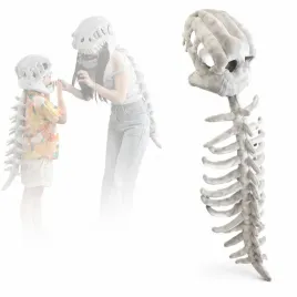 kostium-szkielet-dinozaura-przebranie-t-rex-120cm-halloween-impreza