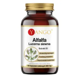 yango-lucerna-siewna-alfalfa-60-kapsulek-suplement-diety