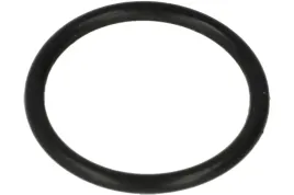 oring-lovato-wtryskiwacza-10x1