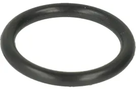 oring-lovato-tulei-dyst-rgj-trzpienia-el-valtek