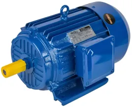 silnik-elektryczny-30kw-380v-kd1816