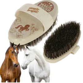 magic-brush-szczotka-dla-konia-ze-szlufka-do-czyszczenia-twarde-wlosie-14x7