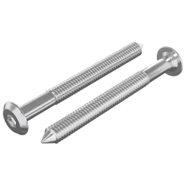 sruby-meblowe-2-pcs-srebrny-m6-x-60-mm-stal
