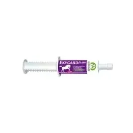 audevard-ekygard-flash-tuba-60-ml-60-ml
