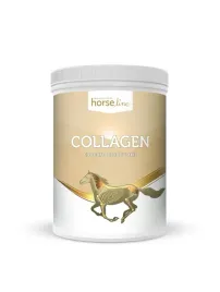 horseline-odzywienie-sciegien-oraz-chrzastki-stawowej-collagen-800-g