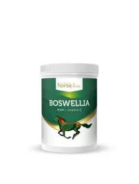 horseline-profilaktyka-aparatu-ruchu-sztywnosc-stawow-i-boswellia-900-g