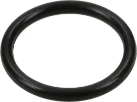 pierscien-uszczelniajacy-o-ring-or41p010