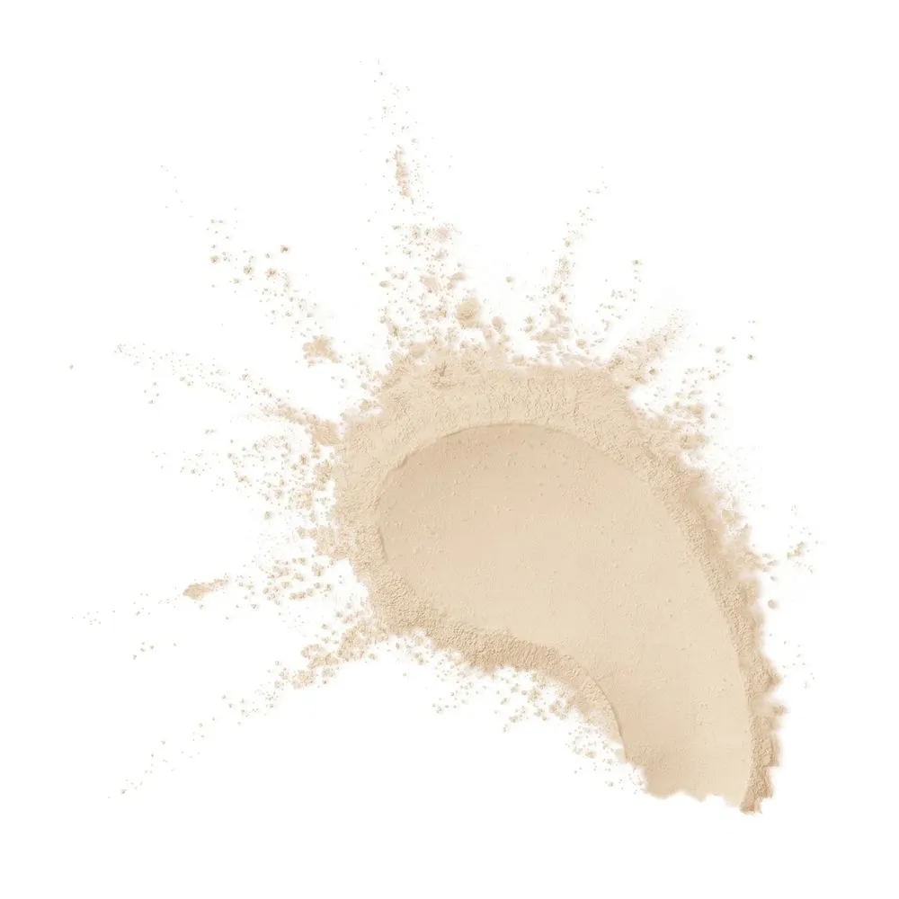 max-factor-facefinity-pro-blur-longwear-setting-powder-translucent-001-w
