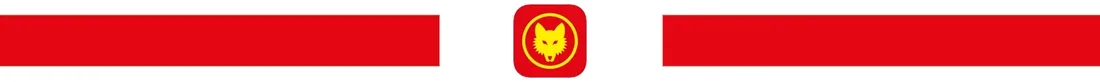 kultywator-wolf-garten-1662518