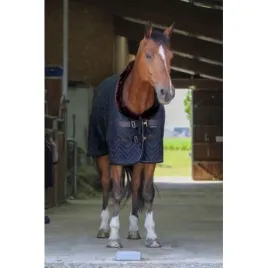 equitheme-derka-stajenna-teddy-velvet-150g-butelkowa-zielen-155