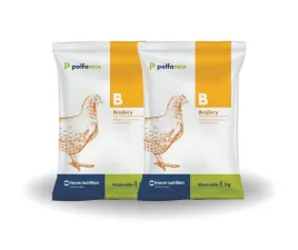 polfamix-b-dla-brojlerow-2-x-1-kg