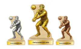 komplet-statuetek-siatkarskich-20cm-nadruk-uv-sklejka-tabliczka-siatkowka