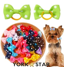 kokardki-spinki-gumki-dla-psa-yorka-maltanczyka-shih-tzu-10-sztuk-ozdoby