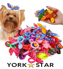gumki-spinki-ozdoby-do-wlosow-dla-psa-yorka-maltanczyka-shih-tzu-10-sztuk