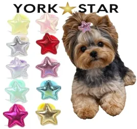 gumki-gwiazdki-dla-psa-yorka-maltanczyka-shih-tzu-10-sztuk-z-ozdoba