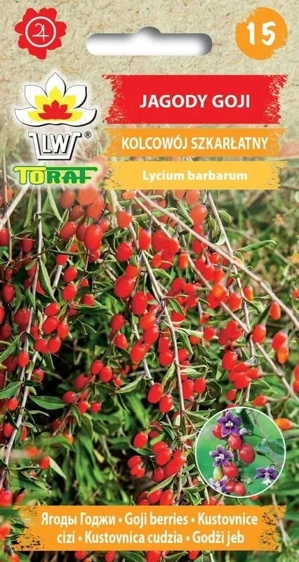 jagody-goji-01g-t