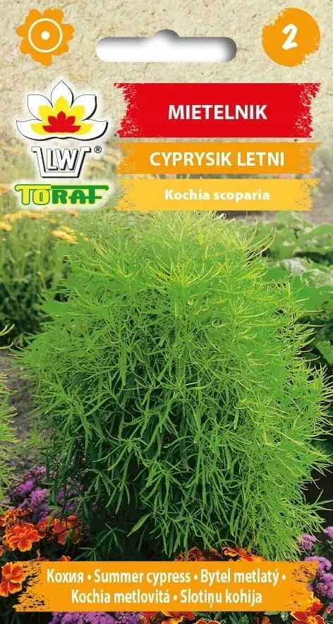 mietelnik-1g-t