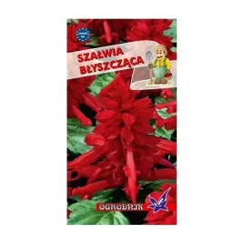 szalwia-blyszczaca-czerwona-05g-o