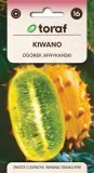 kiwano-03g-t