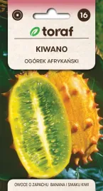 kiwano-03g-t