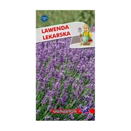 lawenda-lekarska-02g-o