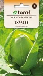kapusta-glow-biala-express-1g-t