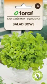 salata-lisciowa-salad-bowl-zielona-1g-t