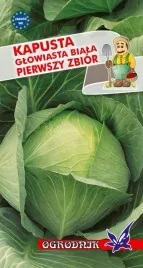 kapusta-glowiasta-biala-pierwszy-zbior-2g-o