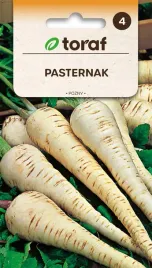 pasternak-5g-t