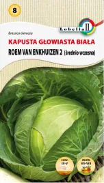 kapusta-roem-van-enkhuizen-2-nasiona-2g-l