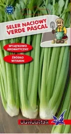 seler-naciowy-verde-pascal-nasiona-05g-o