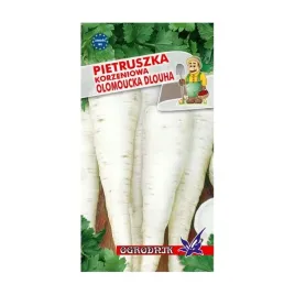 pietruszka-sredniopozna-olomouncka-5g-o