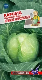 kapusta-biala-ditmarska-najwczesniejsza-2g-o